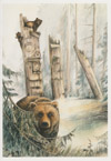 P.O. Bear